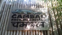 /album/fotogaleria/cambal-pavilon-gavialu-zoo-praha-jpg/
